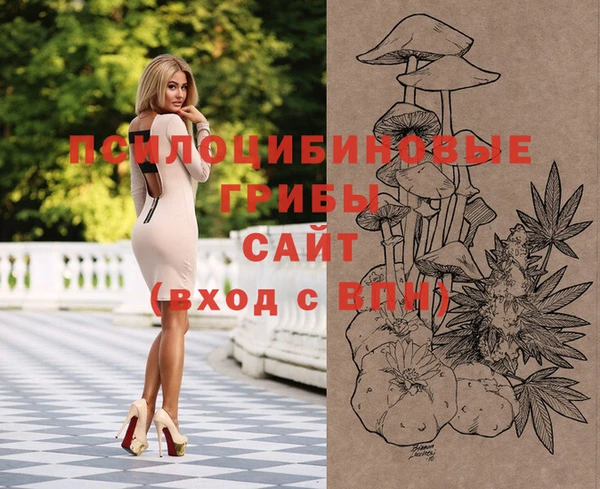 стафф Михайловка