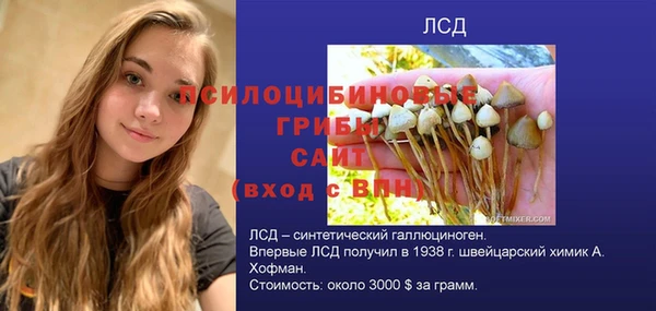 дмт Алексеевка